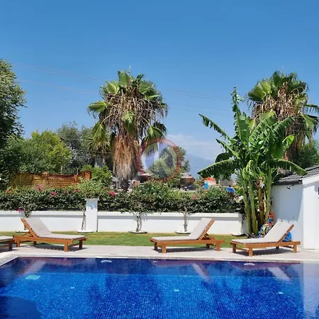 Michael Willa Dalyan